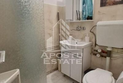 Garsoniera Pet friendly, zona Buziasului - 5