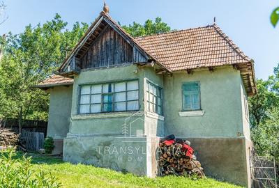 Casă individuală cu 2 camere cu Teren 1368 Mp în Livada (Petreștii de Jos) - 4