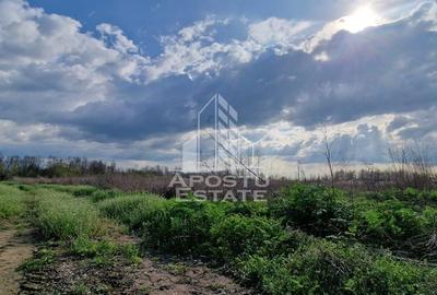 Teren intravilan , curent , apa , nr de casa Sacosu Turcesc - 3