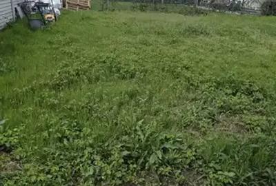 Casă cu 4 camere cu Teren 528 Mp în Corbeanca - 8