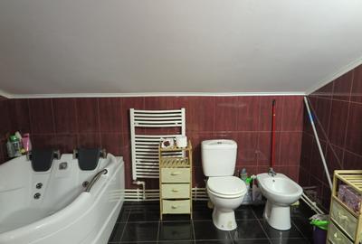 Casa P + M - Zona Vlaicu + spatiu comercial - 12