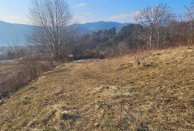 Teren de 1365 mp, în Sărata - 5