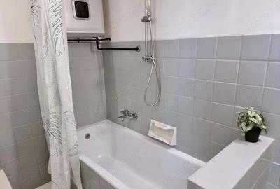 Oferim spre inchiriere garsoniera Banu Manta Oferim spre inchiriere garsoniera Banu Manta - 2