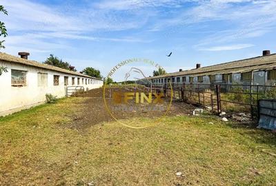 Teren intravilan cu potential de investitie 62000mp - 12