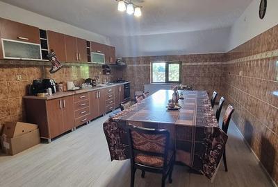 Casă cu 7 camere cu Teren 5000 Mp în Siliștea - 12