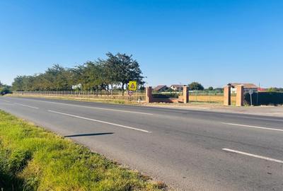 Teren în Central - 5