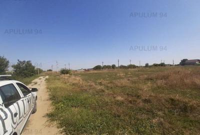 Teren pentru investitie langa Bucuresti - 10