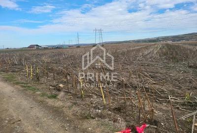 Teren de 8300 mp, în Oarda - 1