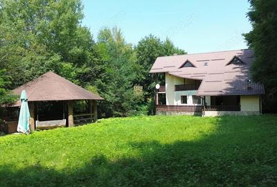 Casă cu 6 camere cu Teren 5200 Mp în Sucevița - 12