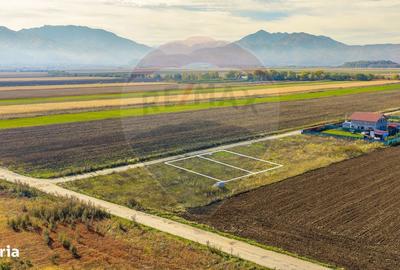 Teren de 650 mp, în Astra - 7