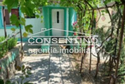 Casă cu Teren 500 Mp în Dorobanți 2 - 11