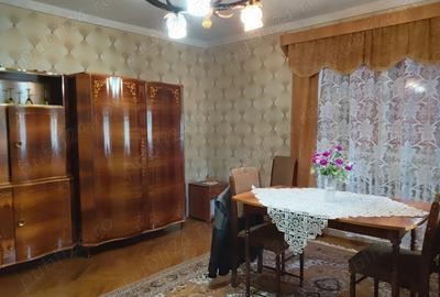 Casă cu 2 camere în Sânmihaiu Almașului - 9