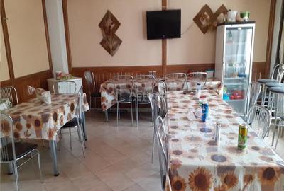 Casă cu 10 camere cu Teren 50 Mp în Dârste - 1