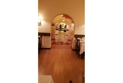 REV2002439 Vila Cismigiu pretabila restaurant - 9