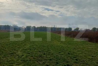 Teren de 3800 mp, în Central