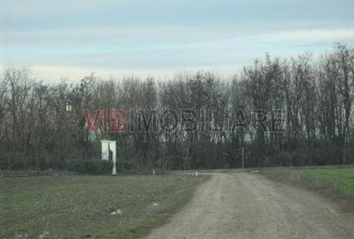 Teren de 61830 mp, în Belciugatele - 14