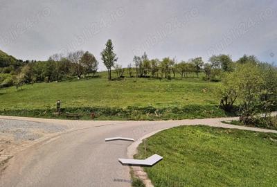 Teren de 2500 mp, în Sohodol - 3