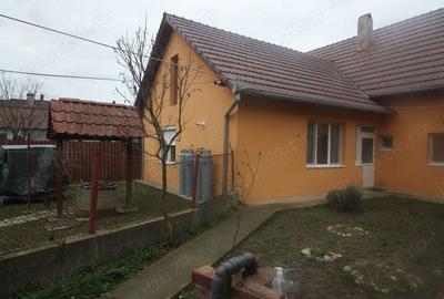 Casă cu 3 camere cu Teren 1128 Mp în Pustiniș - 9