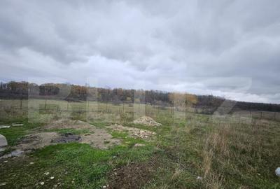 Teren intravilan, Dragutesti, 1184 mp - 3