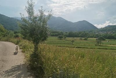 Teren intravilan la munte  Valea Ariesului comuna Salciua jud Alba - 2