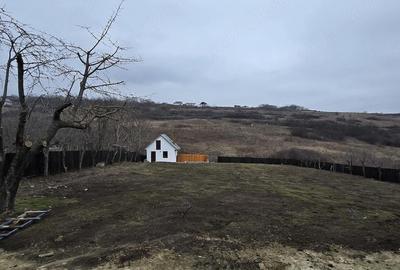 Casă cu 7 camere cu Teren 1500 Mp în Viticultori - 3