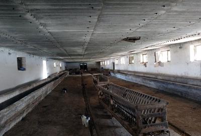 Ferma cu hale 3000 mp si teren 12000 mp, 30 km de Constanta