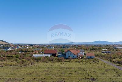 Teren Sanpetru -livada, Strada Nucului, 1296mp, apa, gaz, curent Teren Sanpetru -livada, Strada Nucului, 1296mp, apa, gaz, curent - 9