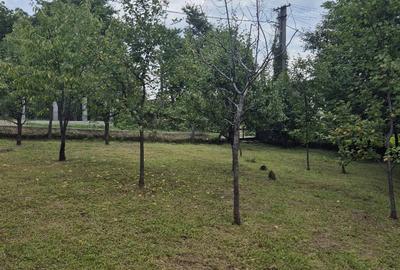 Casă cu 2 camere cu Teren 900 Mp în Central - 5