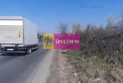 Teren de 4800 mp, în Glina - 16