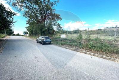 Teren Panciu ( Satul Nou ) Strada Progresului - 8