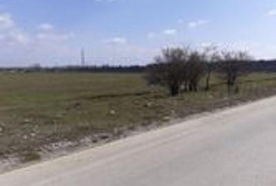 Teren intravilan 10.000 -38.000 mp industrial 1 Decembrie- DN5 stradal Teren intravilan 10.000 -38.000 mp industrial 1 Decembrie- DN5 stradal - 5