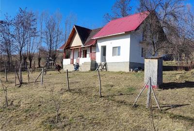 Casă cu 2 camere în Șuici - 9