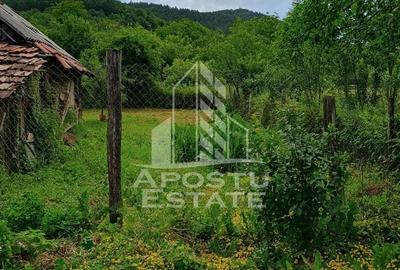 Casa bătrânească de vânzare | 4 camere | Hunedoara | Micănești - 31