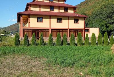 Spațiu comercial, de 400 mp, în Topleț - 2