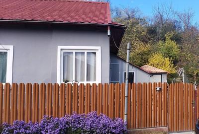 Casa Cotesti jud. Vrancea - 4