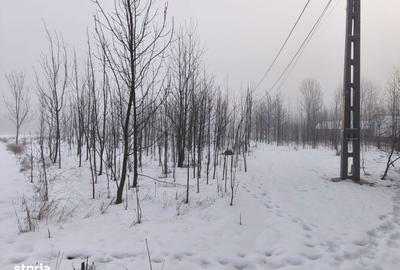 Casă cu 3 camere cu Teren 5000 Mp în Bălcăuți - 3