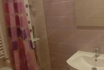 Vand camera de camin transformata in garsoniera - 3