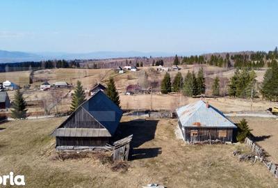 Teren de 10909 mp, în Râșca - 10