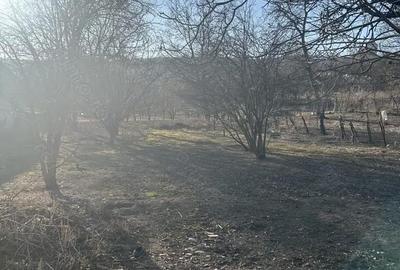 Casă cu 3 camere cu Teren 1400 Mp în Lopadea Veche - 1