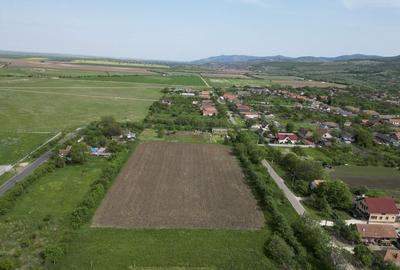 Teren Intravilan de 3,090 mp in Cuvin - 6