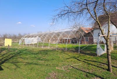 Casă cu 4 camere în Brestovăț - 6