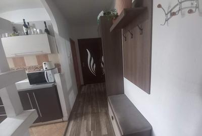 Apartament cu 2 camere semidecomandat, mobilat în Rogerius - 11