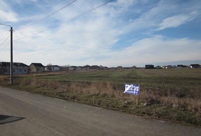 Teren Construcții intravilan de 447 mp, în Domnești - 9