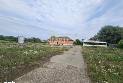 Teren de 10000 mp, în Ștefan cel Mare