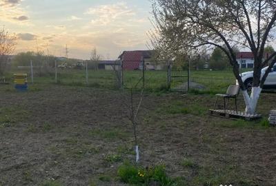 Teren în Narcisa - 2