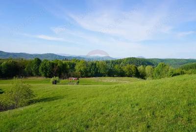 Teren 38,592mp Sighetu Marmatiei / Strada Mocani?ei - 13