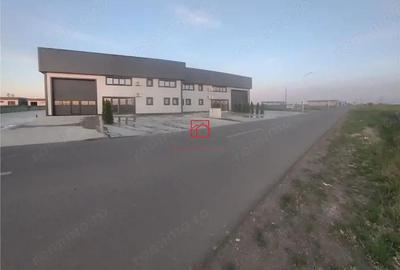 Spațiu comercial, în Domnești - 17