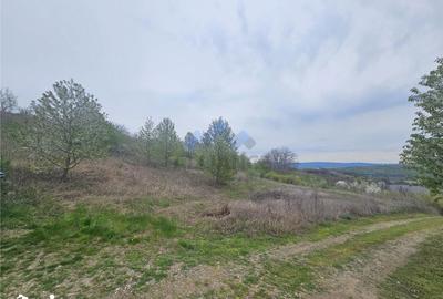 Teren de 9000 mp, în Miroslava