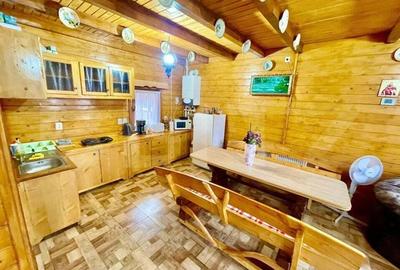 Cabana de vanzare, 4 camere, 70 mp, zona-statiunea Baile Figa, Bistrita - 4