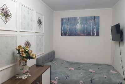 Apartament cu 2 camere in Velenta, Gradinarilor - 6